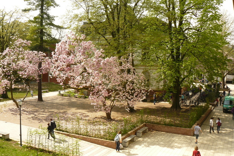 Portrat St Raphael Gymnasium In Heidelberg